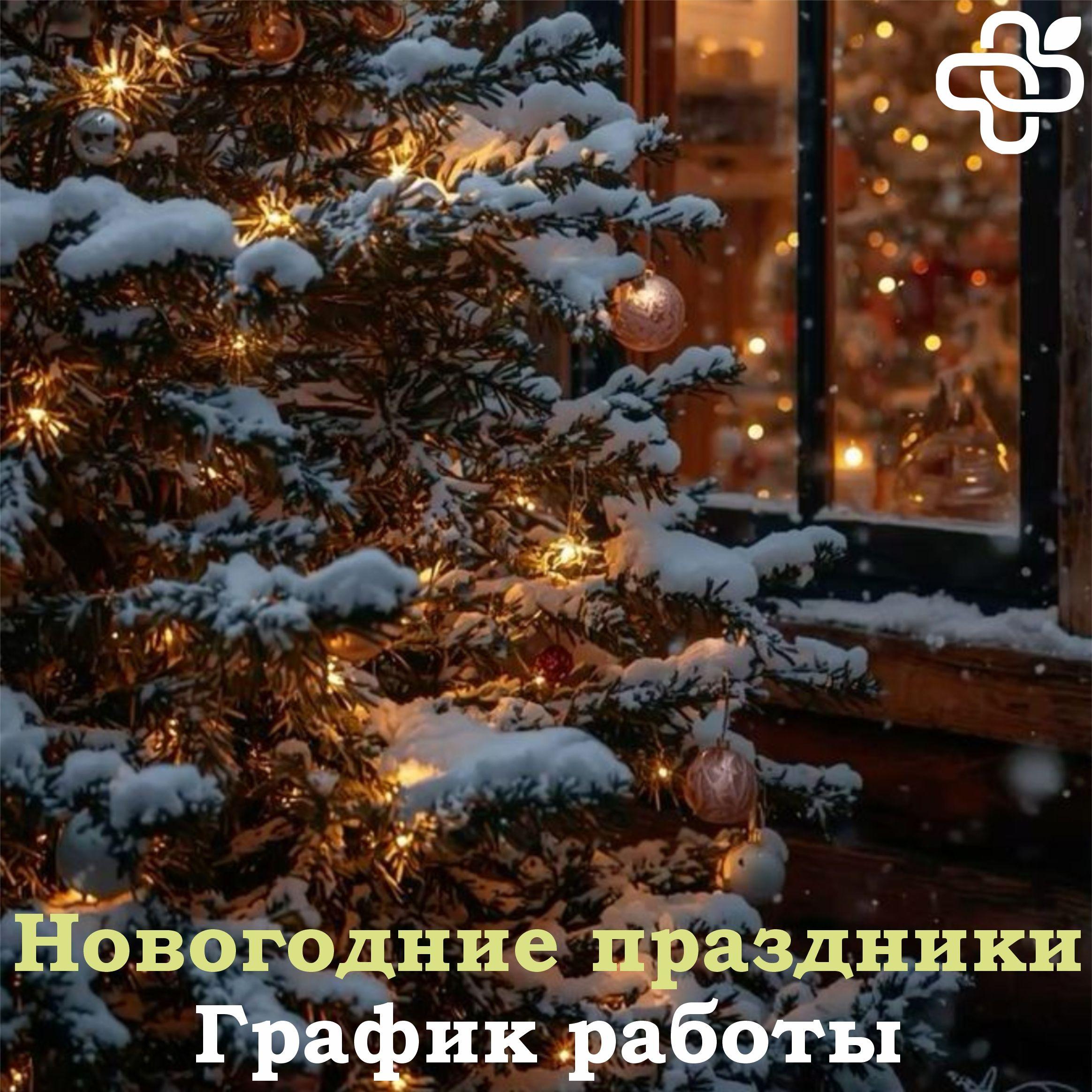 Новогодние праздники: График работы Новогодние праздники: График работы